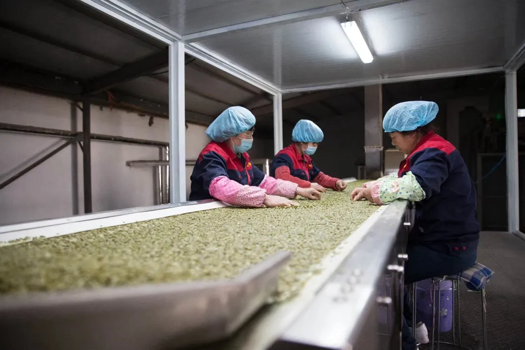 Pumpkin Seed Kernels New Crop Popular Chinese Snacks