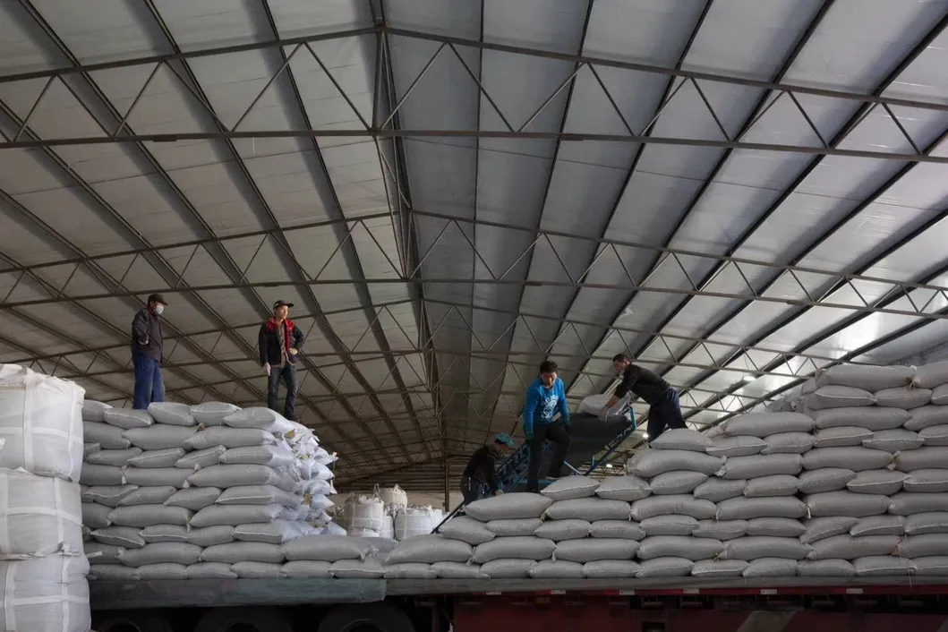 Pumpkin Seed Kernels New Crop Popular Chinese Snacks