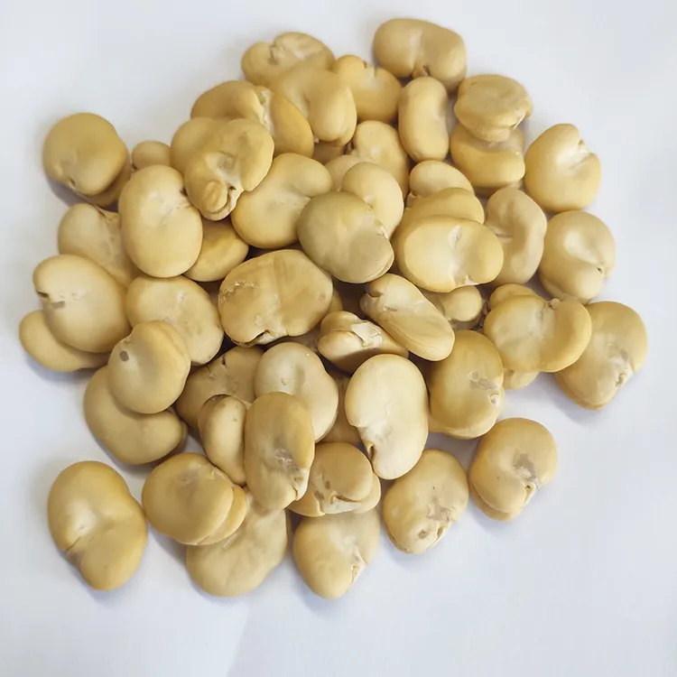 Natural Peeled Broad Beans High Quality by Hand