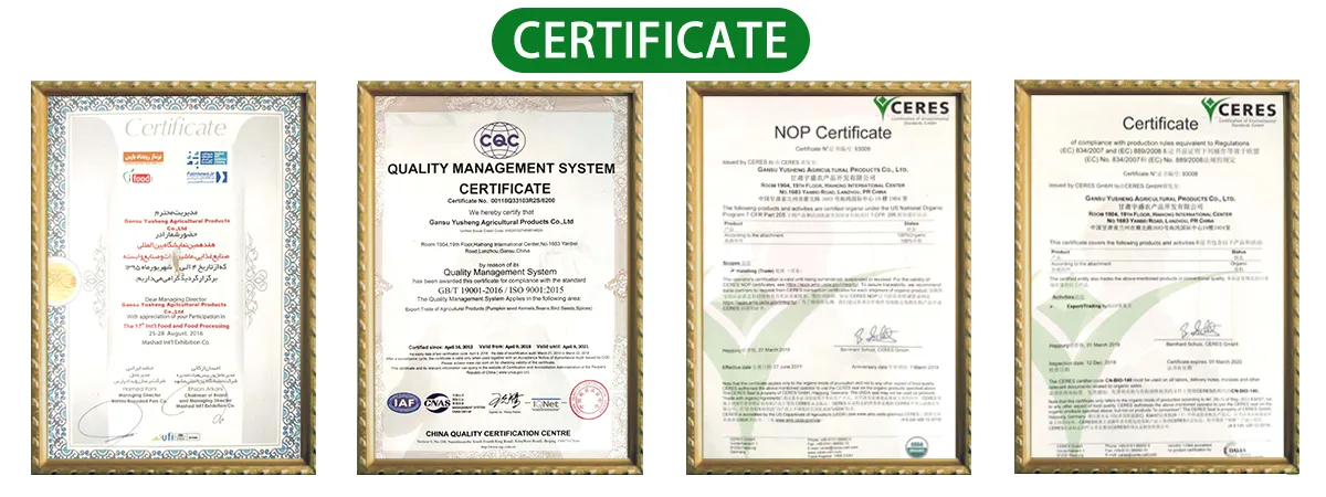 Natural Peeled Broad Beans High Quality by Hand