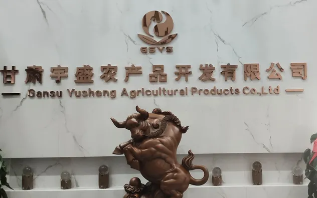 High-Quality 100% Raw Arabica Coffee Beans for Professional Use