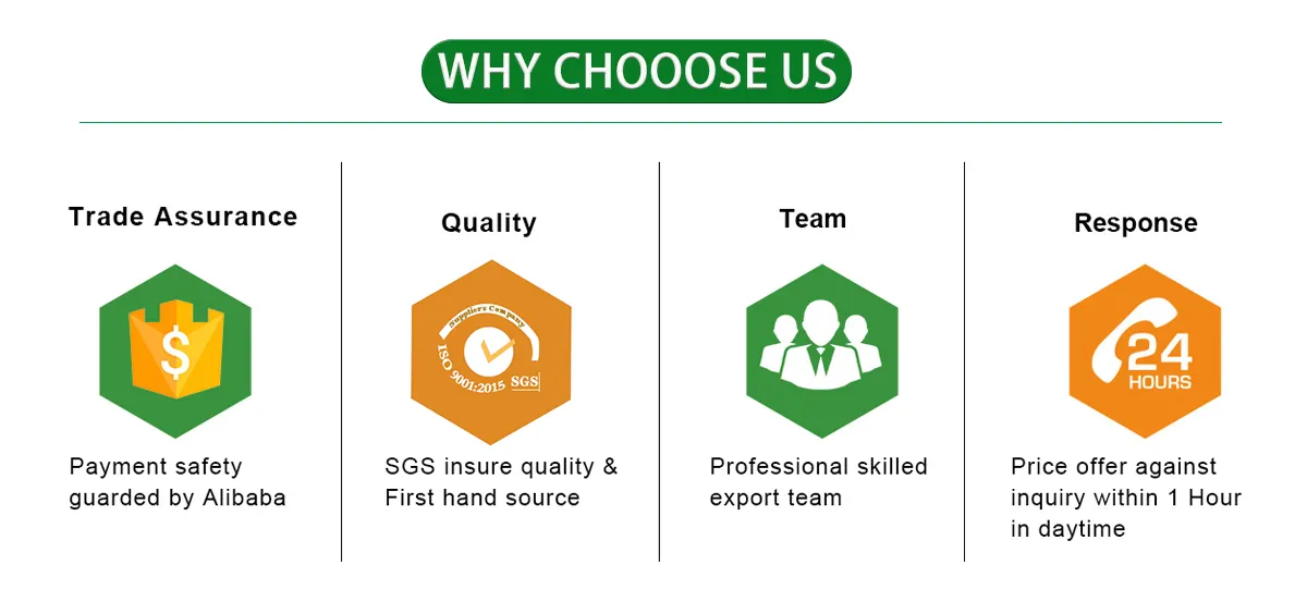 High-Quality 100% Raw Arabica Coffee Beans for Professional Use