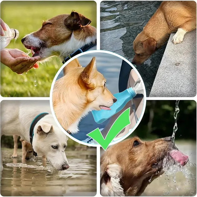 The World's First Pure Natural Pet-Specific Drinking Water Rich in Mineral Trace Elements