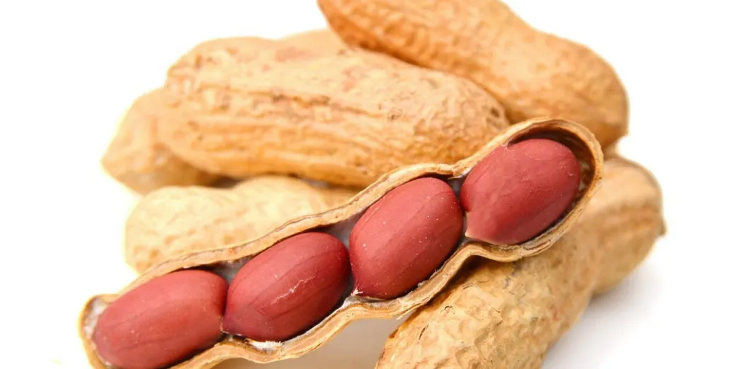 Factory Price Wholesale Peeled Blanched Raw Peanut Kernel HACCP with Without Shell Organic Natural Peanut From China