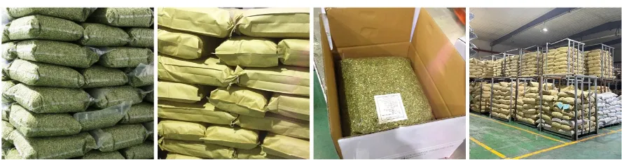 Dried Shine Skin Pumpkin Seeds Big Size Inshell