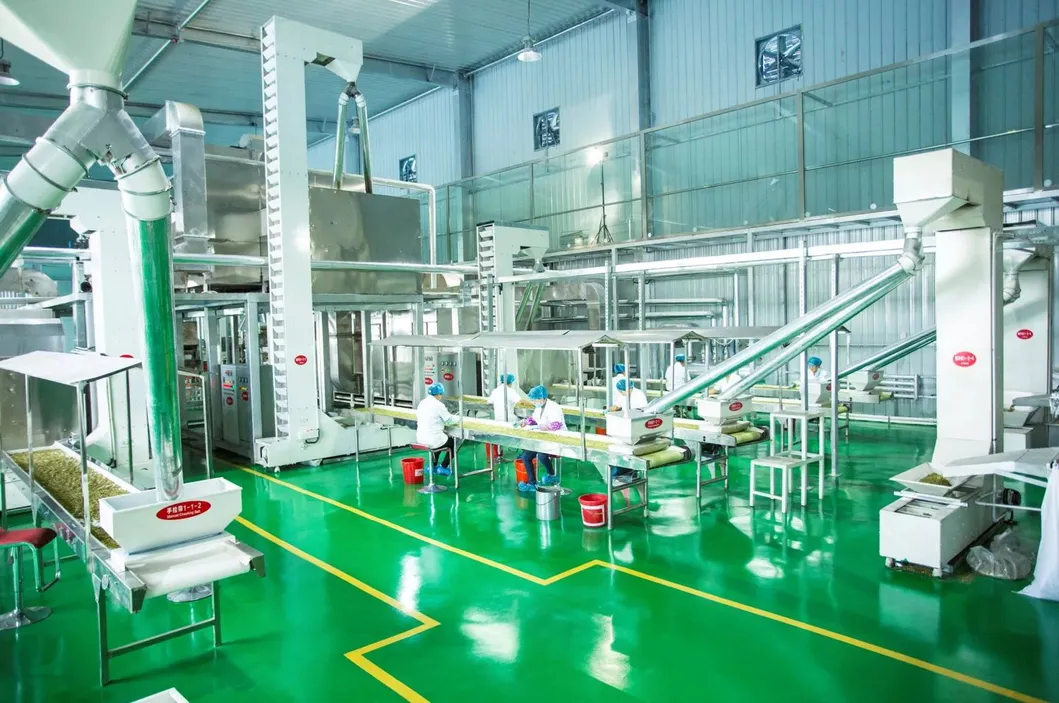 Dried Shine Skin Pumpkin Seeds Big Size Inshell