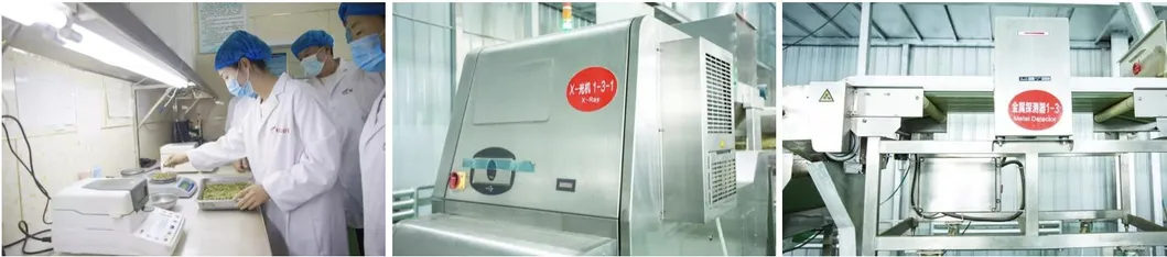 Dried Shine Skin Pumpkin Seeds Big Size Inshell