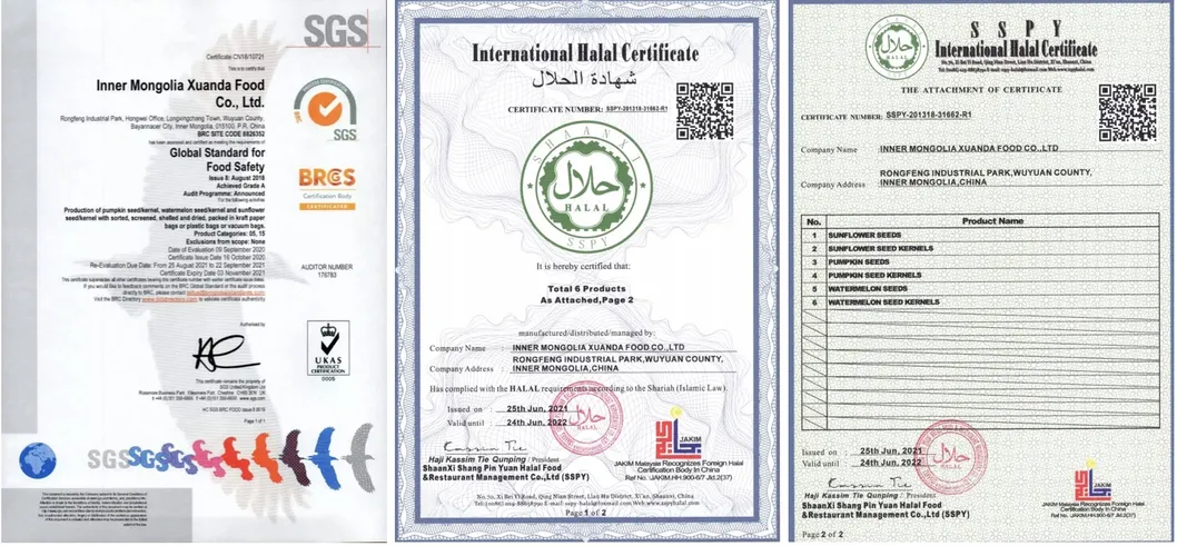 Dried Shine Skin Pumpkin Seeds Big Size Inshell