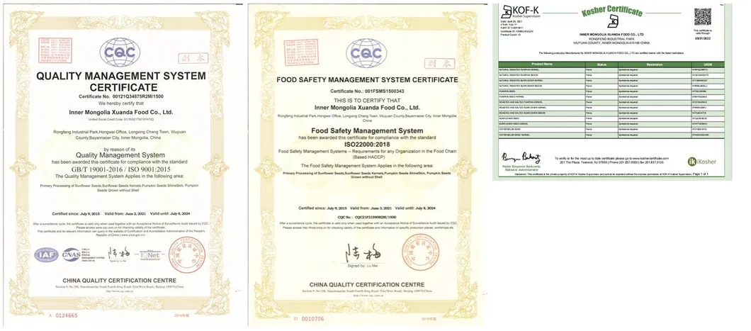 Dried Shine Skin Pumpkin Seeds Big Size Inshell