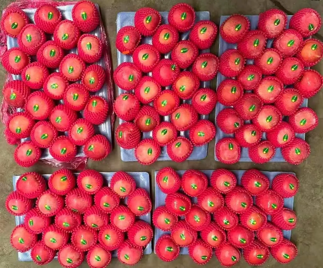 Nutritious and Vitamin-Rich Ripe Red FUJI Apples Are Sourced From High-Quality Suppliers in China