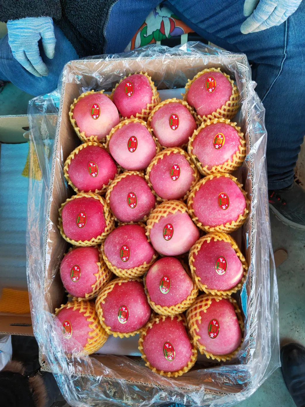 Nutritious and Vitamin-Rich Ripe Red FUJI Apples Are Sourced From High-Quality Suppliers in China