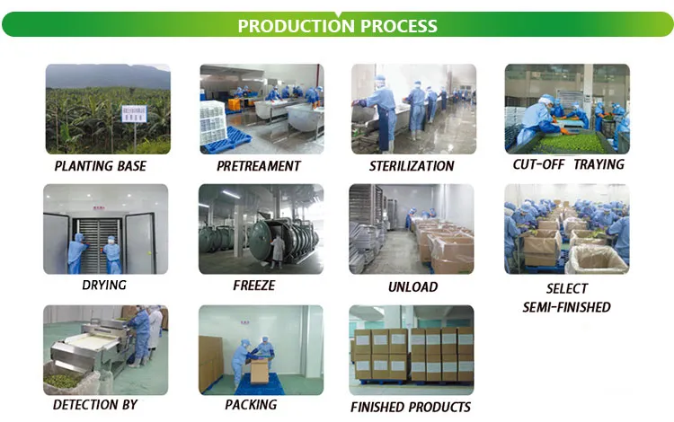 Hot Sales Dried Cherry Tomato Preserved Cherry Tomato Dried Fruit Candied Fruit Snack