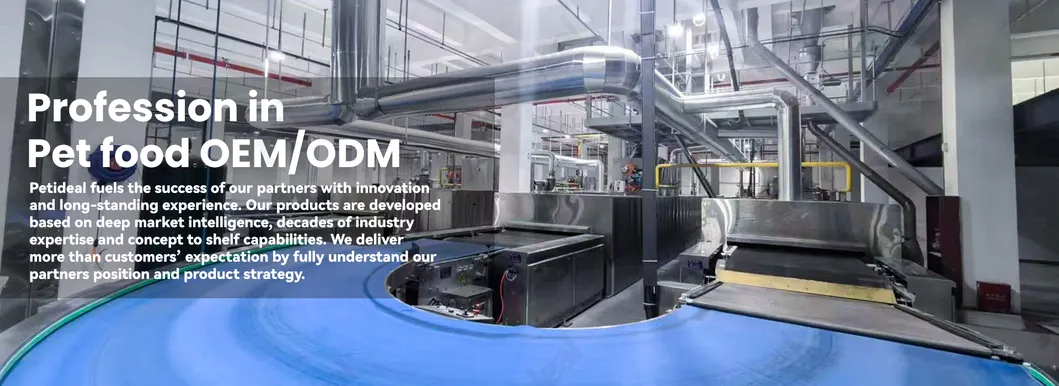 Gourmet Chicken Meat Strip Dog Treats Infused with Healthy Ingredients