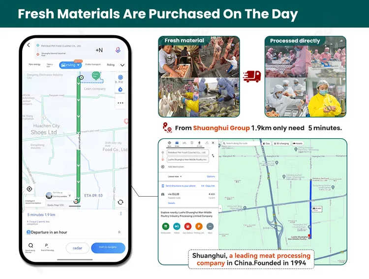 Gourmet Chicken Meat Strip Dog Treats Infused with Healthy Ingredients