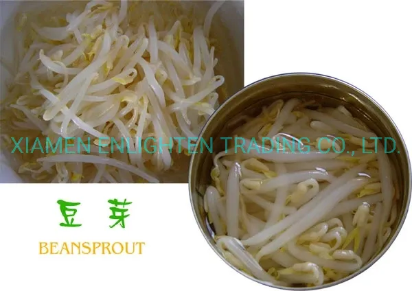 Canned Pickled Green Mung Bean Sprout From Fresh Raw Material in 3000gr 3kg 3100ml A10 Tin