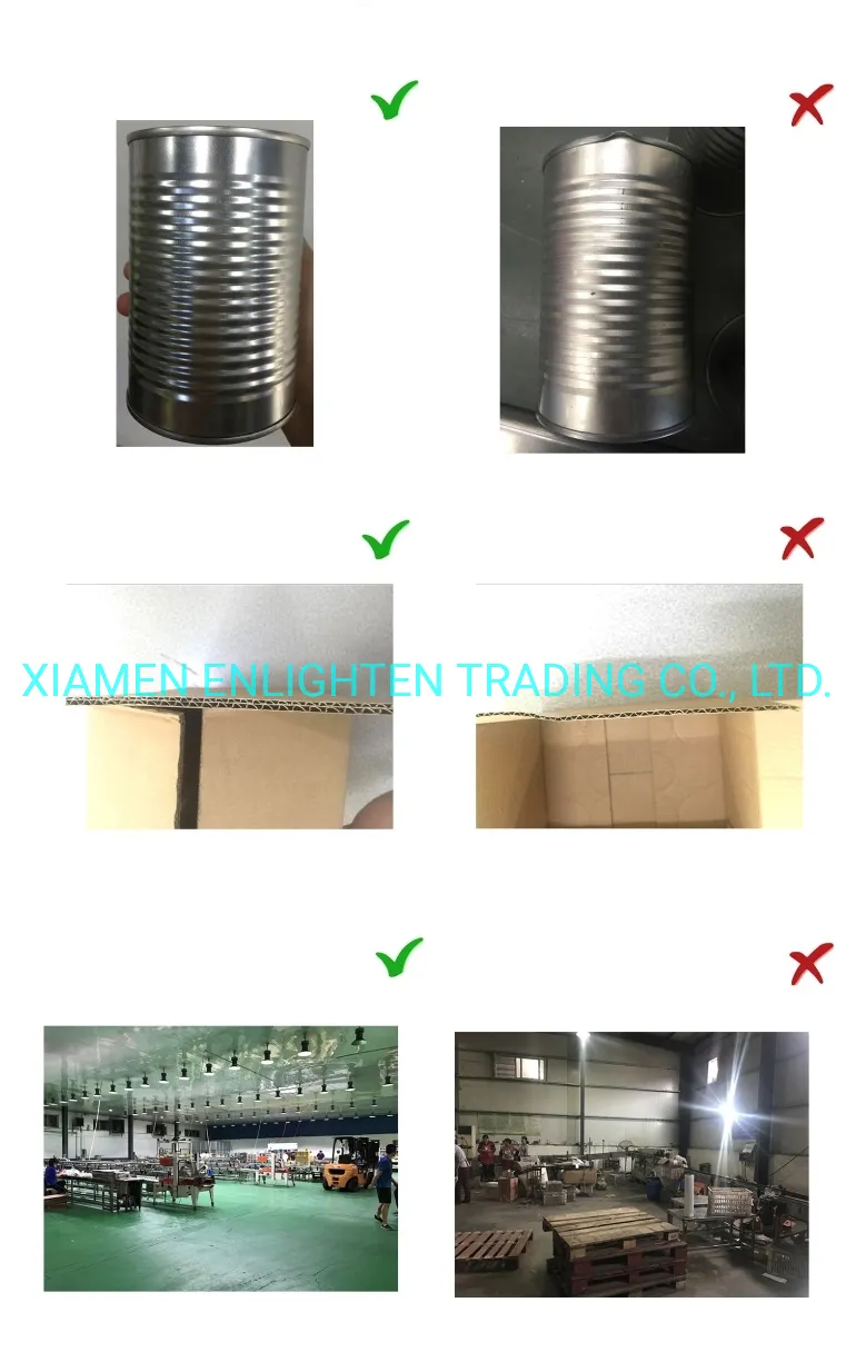 Canned Pickled Green Mung Bean Sprout From Fresh Raw Material in 3000gr 3kg 3100ml A10 Tin