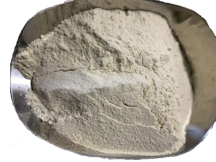 High Quality High Protein Factory Price Vital Wheat Gluten