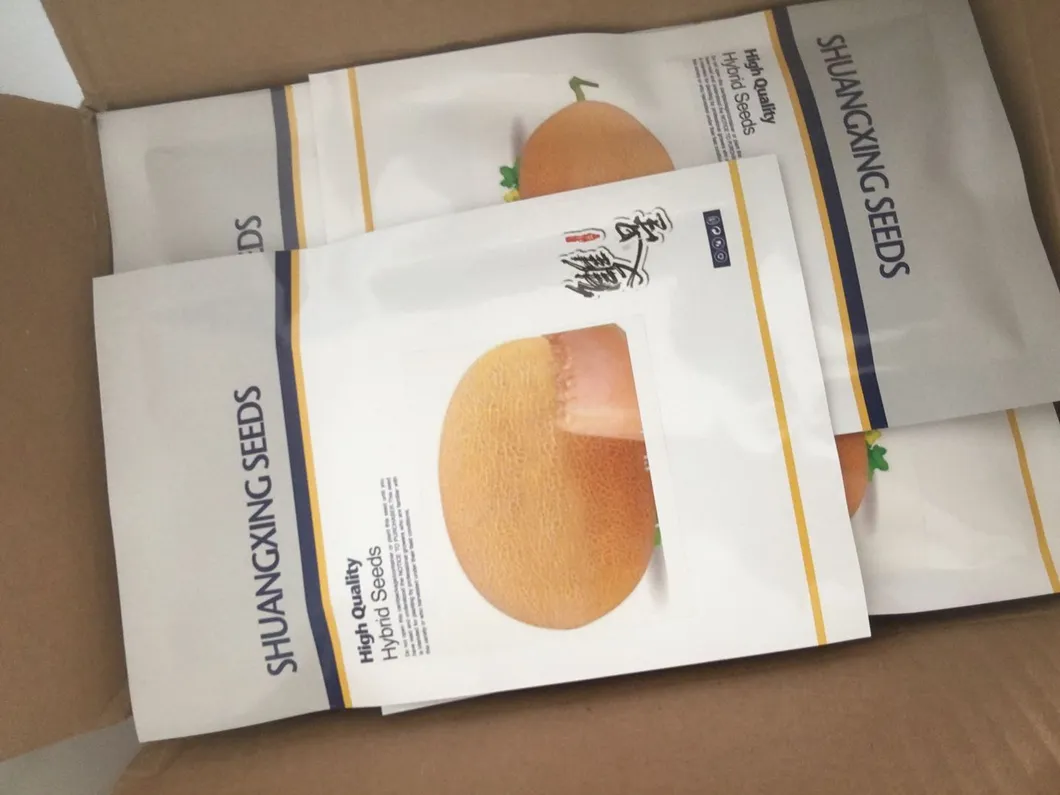 Hami Melon Seed Yellow Melon Seeds for Sowing