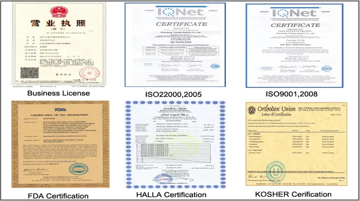 Halal Supplier Whipped Topping Cream Powder for Bakery