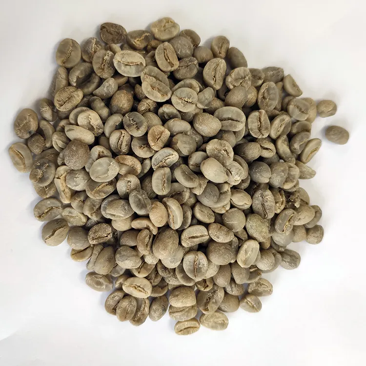 Chinese Hot Sale Arabica Raw Green Coffee Beans