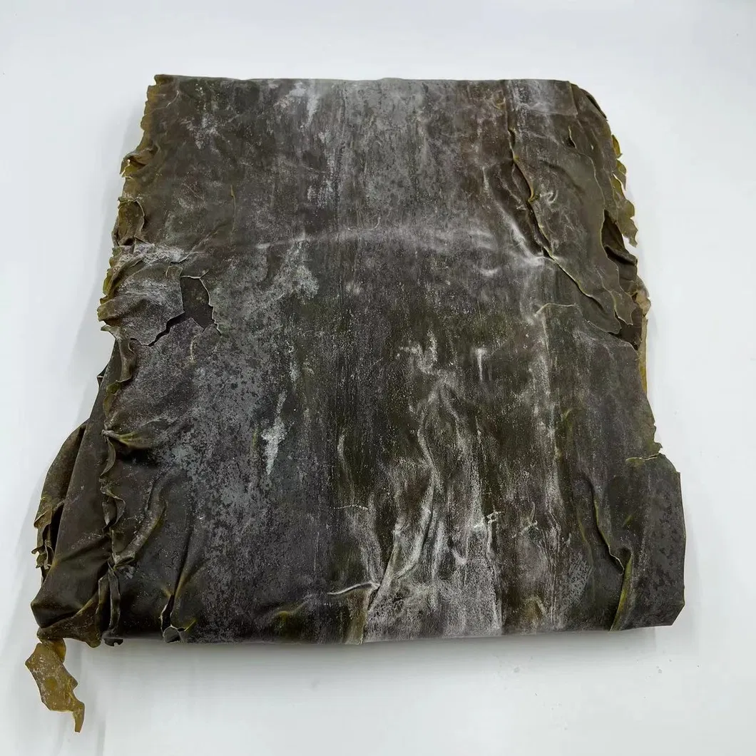 Wholesale Laminaria Japomica Sheet Algae Kombu
