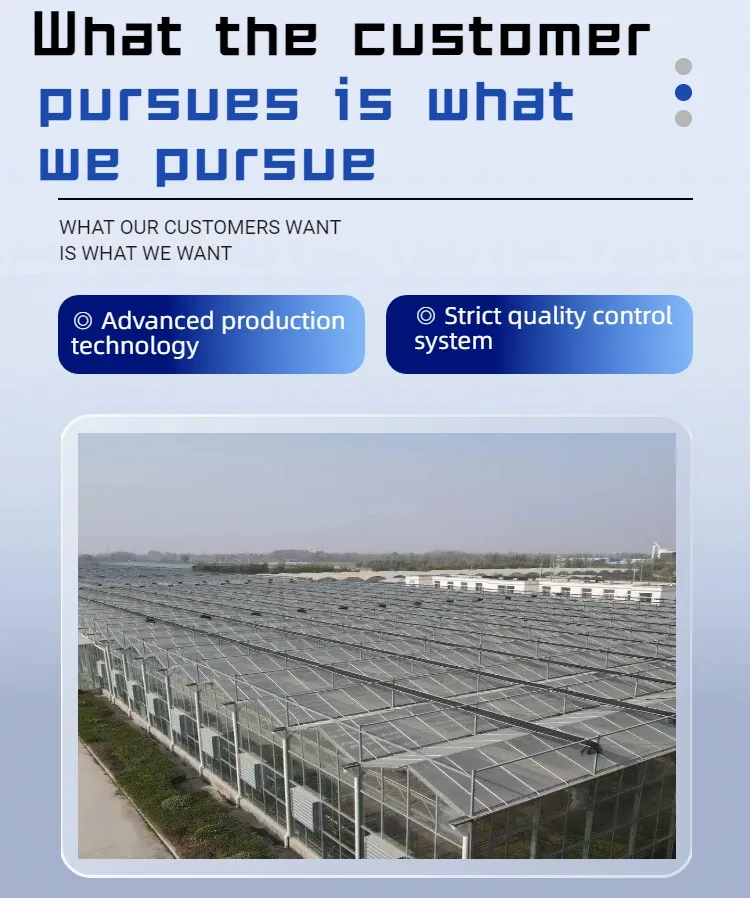 Rubber Seal Greenhouse Materials for Sealing with Weatherproof Strip