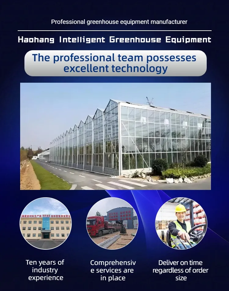 Rubber Seal Greenhouse Materials for Sealing with Weatherproof Strip