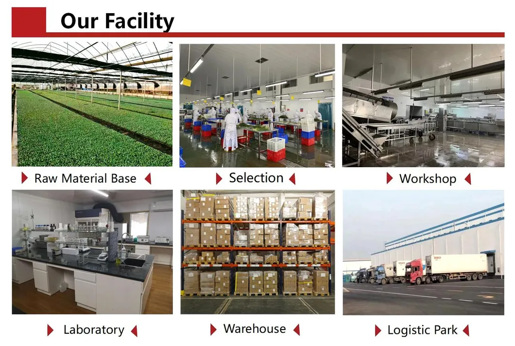 Frozen Halal Chicken Nuggets Black Pepper Flavor