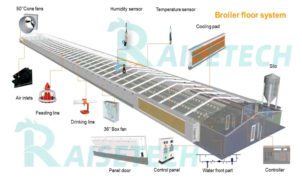 High-Quality Removable Trays Hygienic Small Farms Climate Control Broiler Falt Raising System
