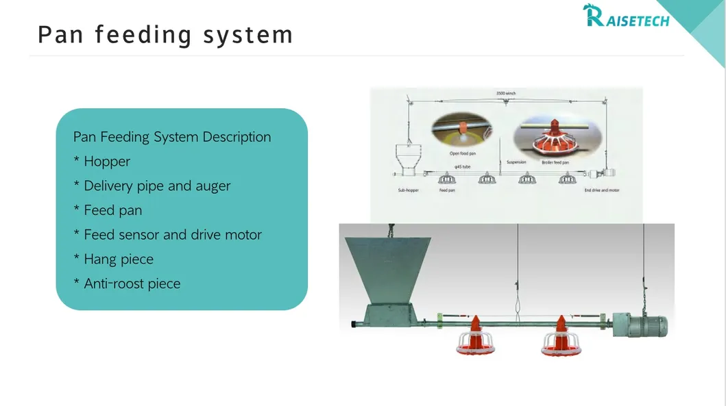 High-Quality Removable Trays Hygienic Small Farms Climate Control Broiler Falt Raising System