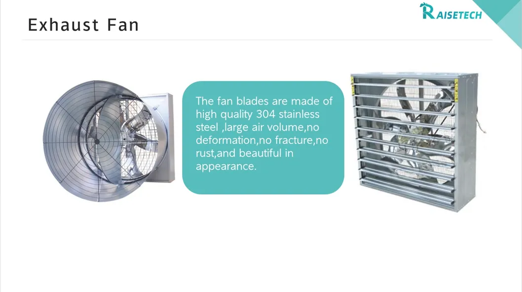 High-Quality Removable Trays Hygienic Small Farms Climate Control Broiler Falt Raising System