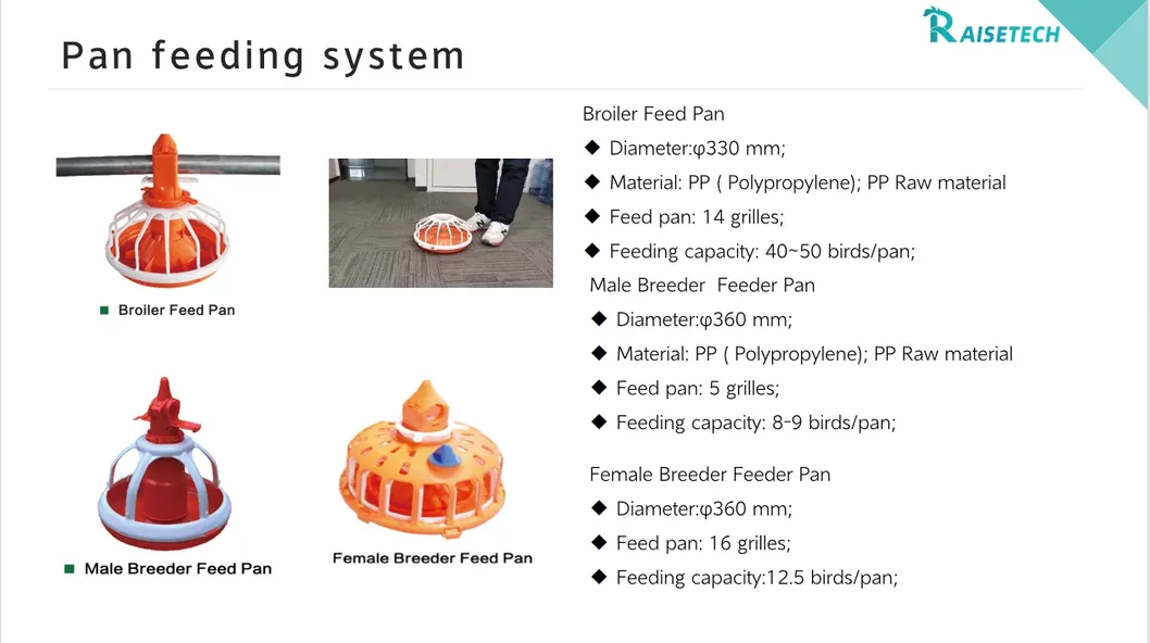 High-Quality Removable Trays Hygienic Small Farms Climate Control Broiler Falt Raising System