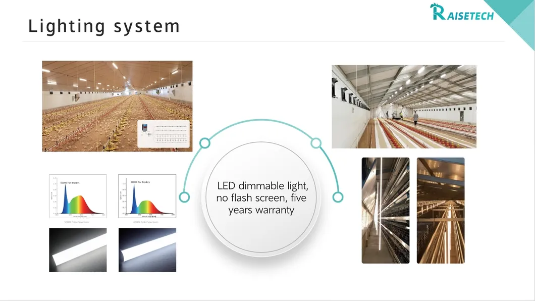 High-Quality Removable Trays Hygienic Small Farms Climate Control Broiler Falt Raising System