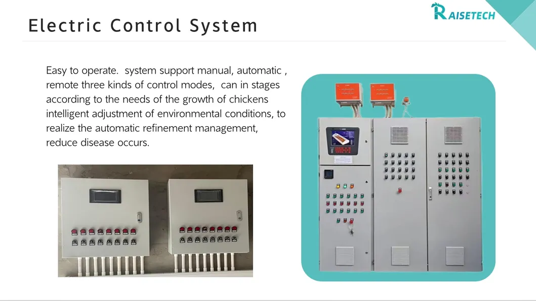 High-Quality Removable Trays Hygienic Small Farms Climate Control Broiler Falt Raising System