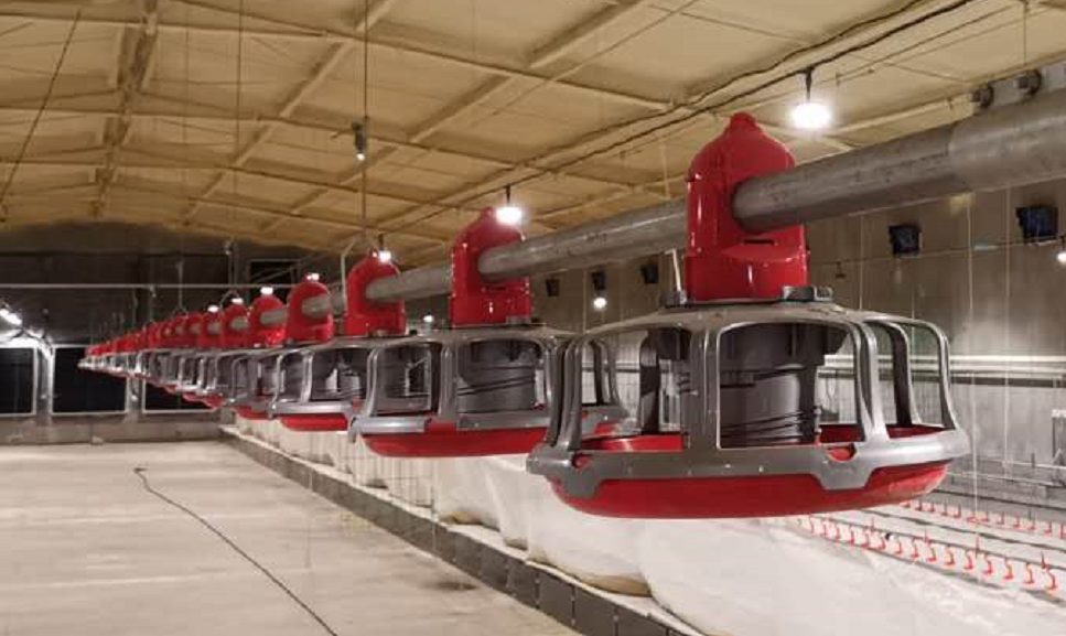 High-Quality Removable Trays Hygienic Small Farms Climate Control Broiler Falt Raising System