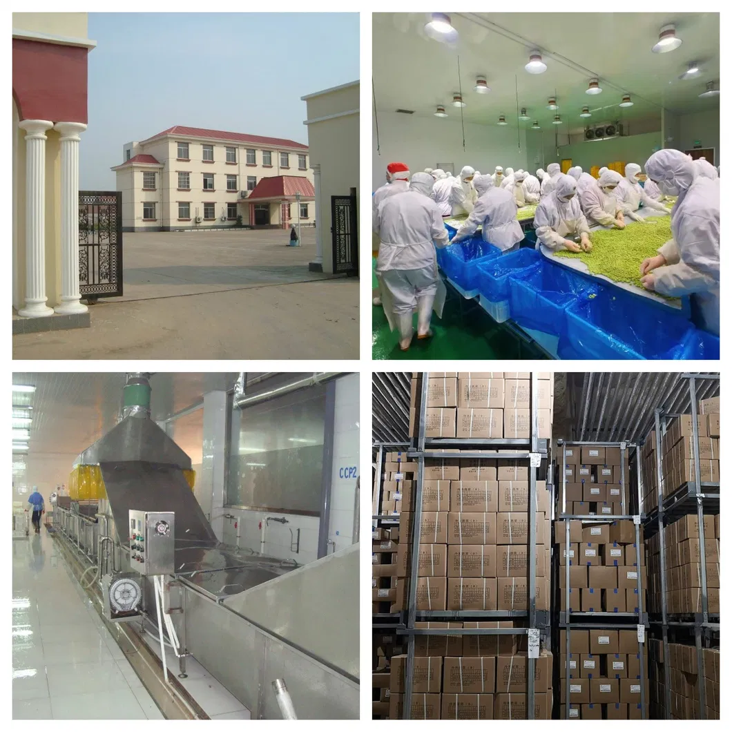 Peach Shape Vegan Ice Cream Peach Flavor Ice Cream OEM with Halal