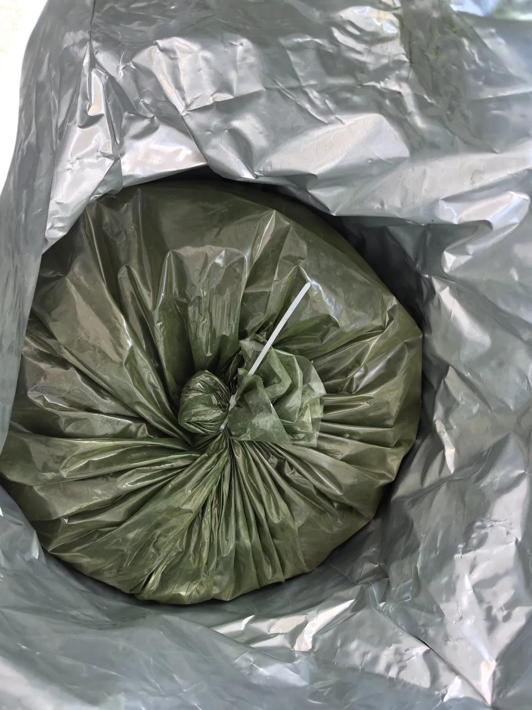 Nutrient-Rich Spirulina Powder for Enhanced Wellness and Vitality