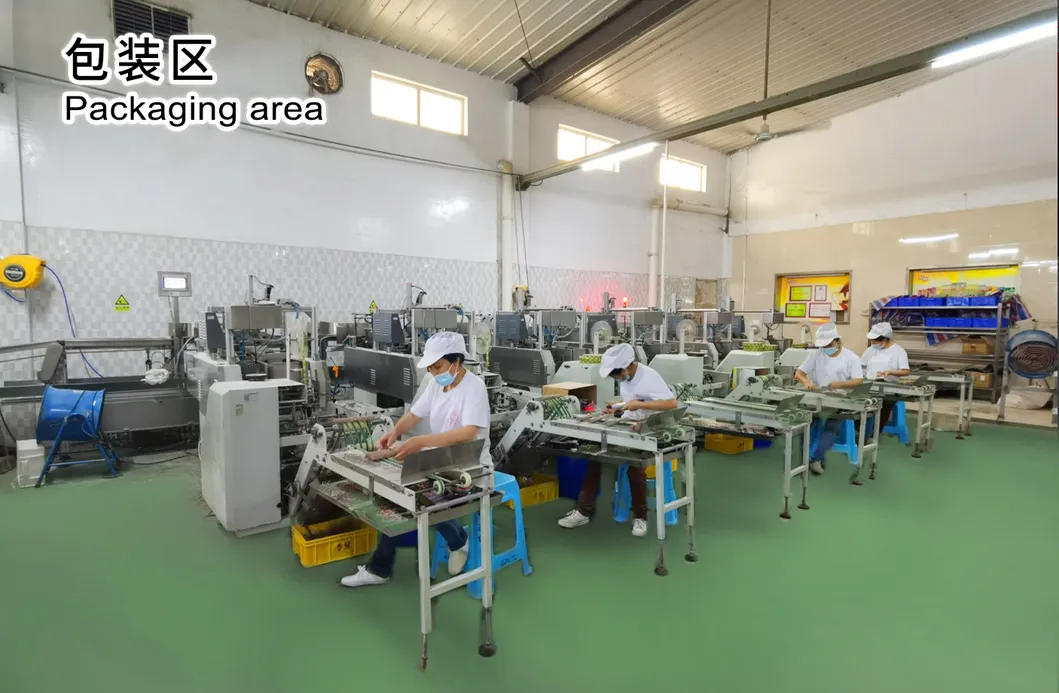 Supermarket Hot-Selling/Family-Size Package/Instant Noodles/Fast Food-Chunsi Tartary Buckwheat Vermicelli/Lavishly Packaged