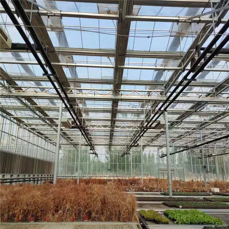 Cost-Effective High Efficient Corrosion-Resistant Intelligent Greenhouse with Enhanced Structural Integrity