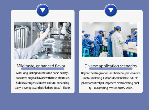 High Quality Food Grade CAS No. 867-56-1 Sodium Lactate Liquid 60% with Package of 25kg/Plastic Drum and IBC Drums