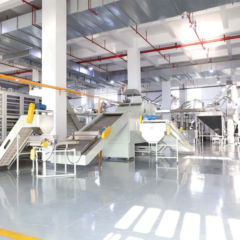 China Africa 41022 OEM Green Tea From Orignal Anhui Area Enough Foam Tea