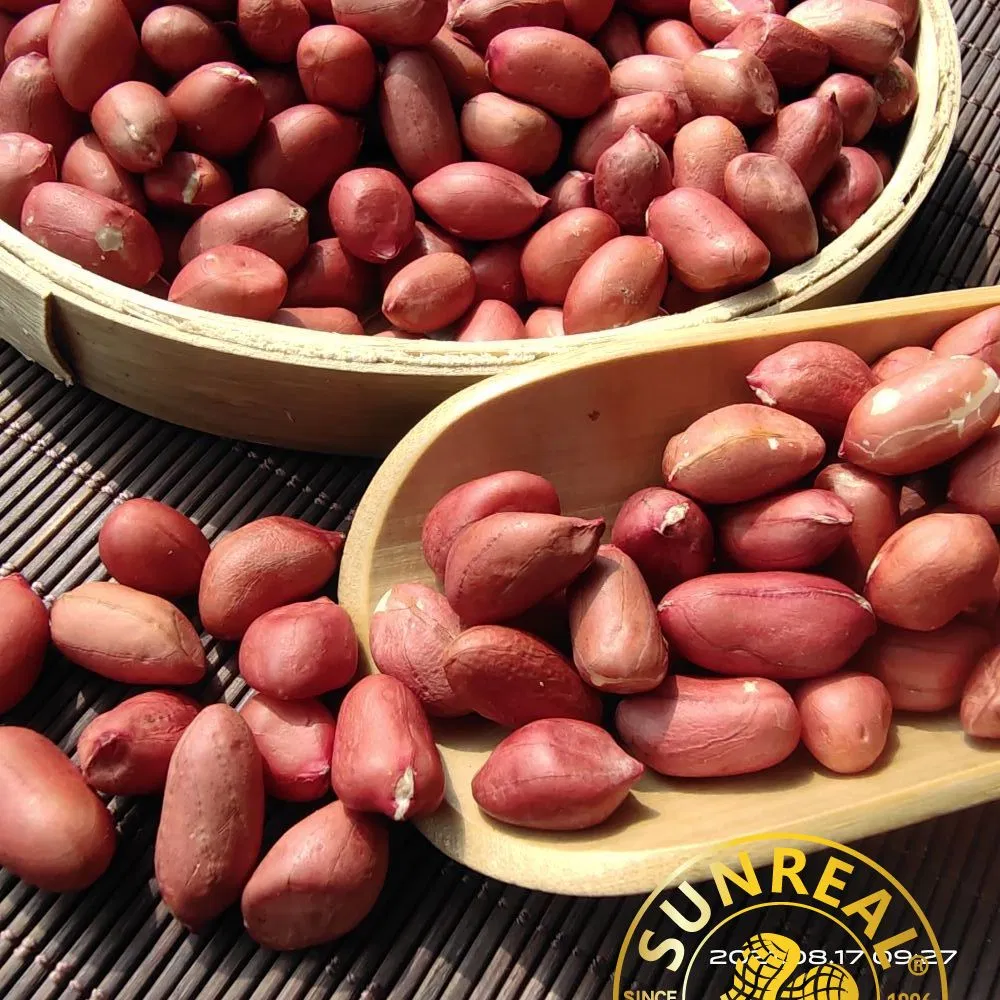 Pukee/Raw Blanched Peanut Kernels/Peanut Butter Materials/Virginia