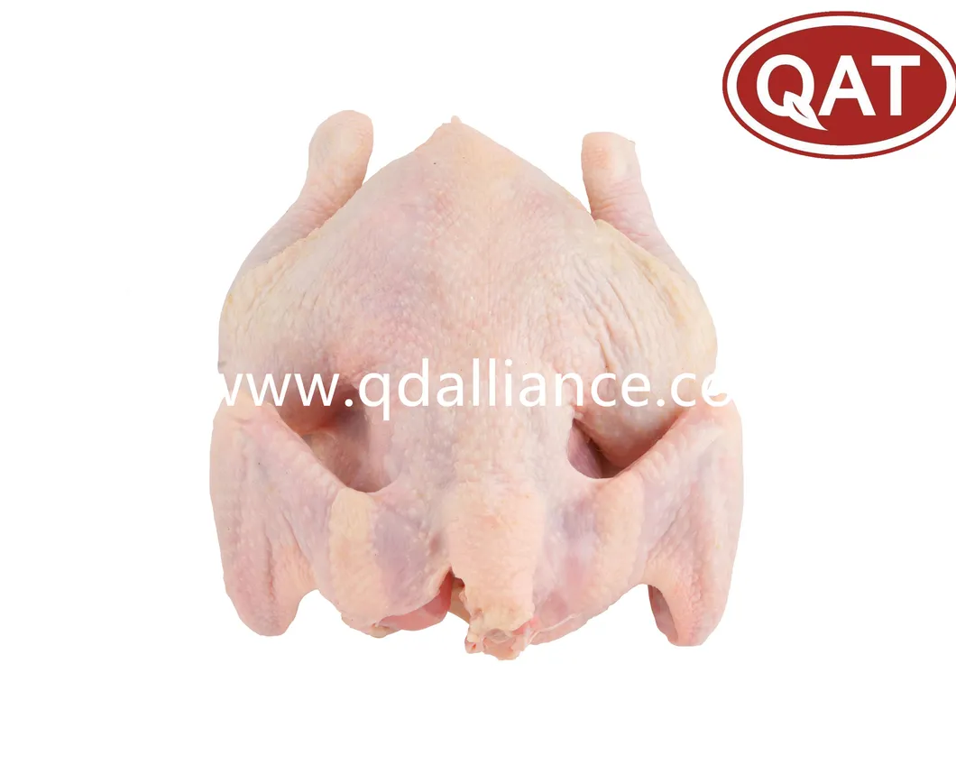 Frozen Halal Whole Chicken Griller with Best Quality Wholesale