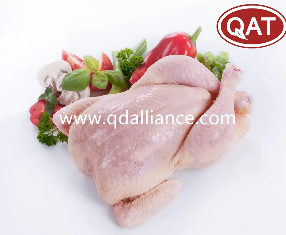 Frozen Halal Whole Chicken Griller with Best Quality Wholesale