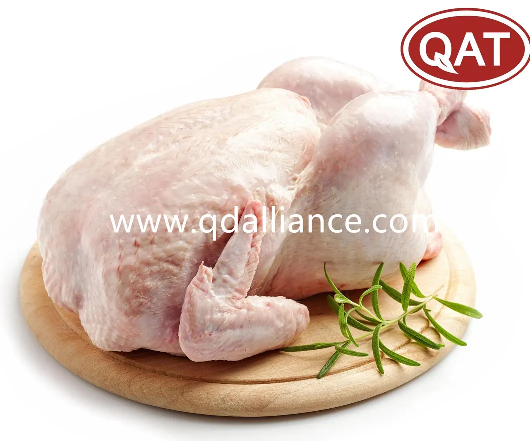 Frozen Halal Whole Chicken Griller with Best Quality Wholesale