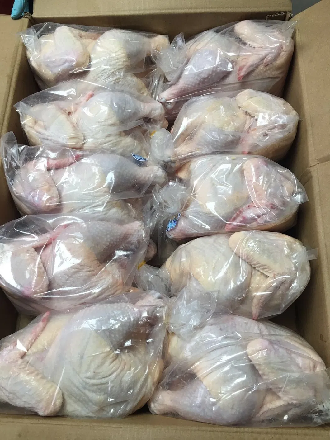 Frozen Halal Whole Chicken Griller with Best Quality Wholesale