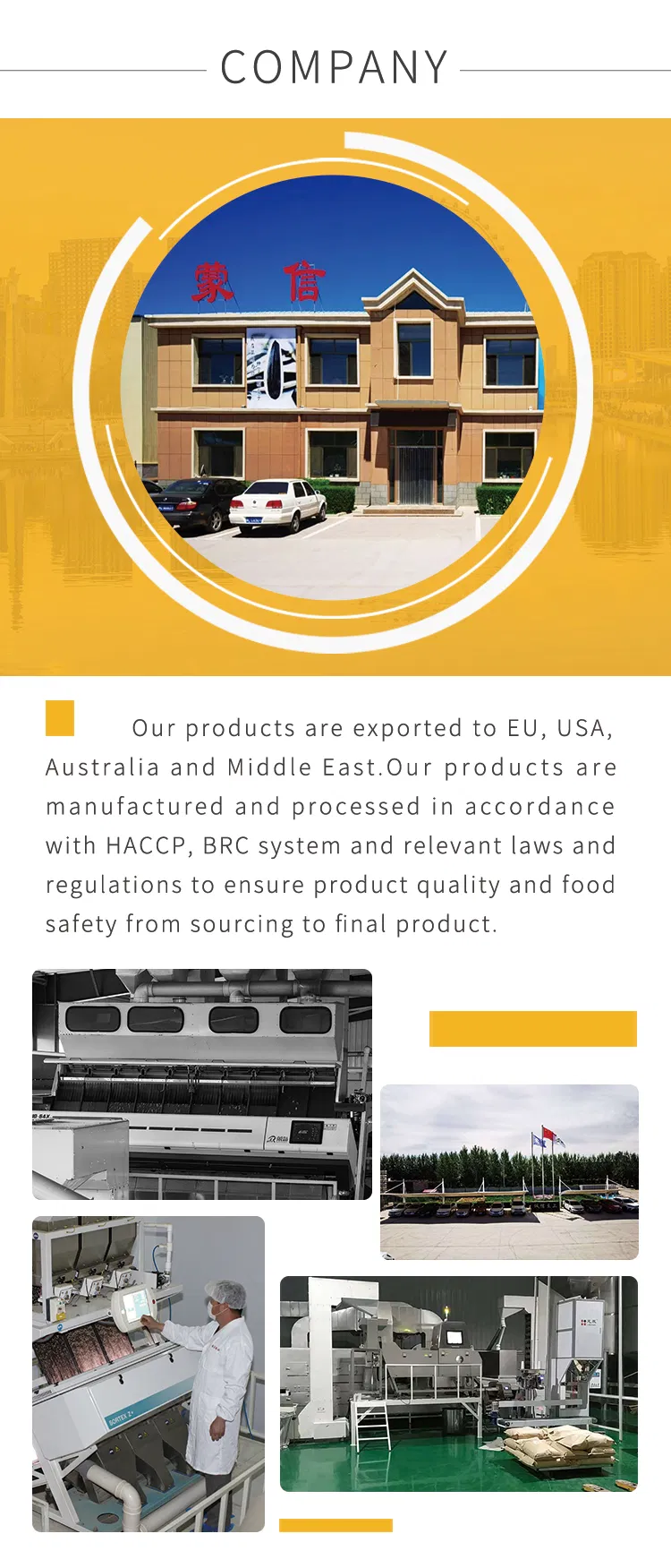 2022 Year Hot Sale Grown Without Shell Pumpkin Seed Shine Skin Kernels