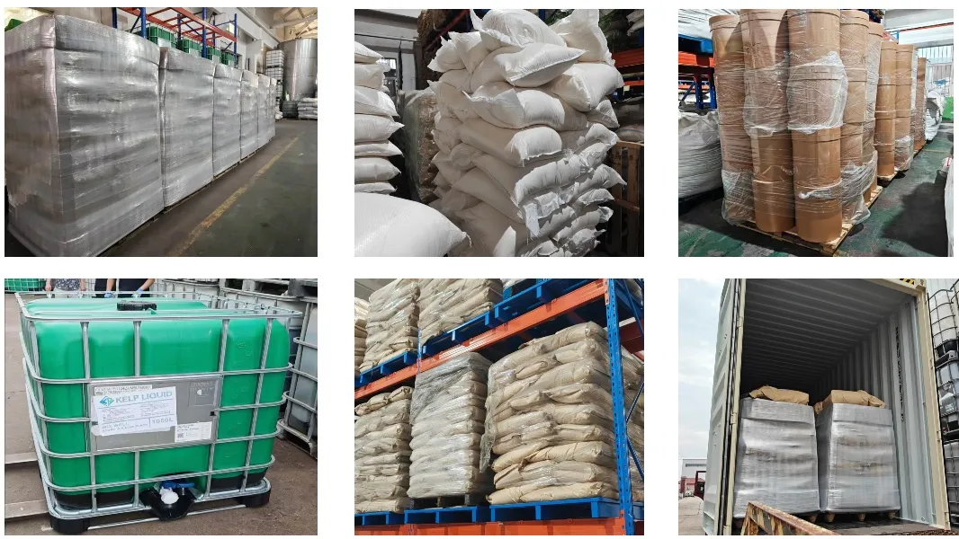 Factory OEM Organic Seaweed Extract Alage Kelp Powder Fertilizer with NPK