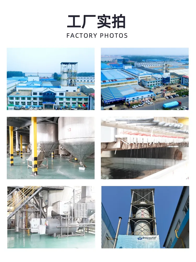 Factory OEM Organic Seaweed Extract Alage Kelp Powder Fertilizer with NPK