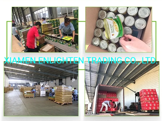 Supply Glass Noodles Silk Noodles Hot Sell Sweet Potato Vermicelli